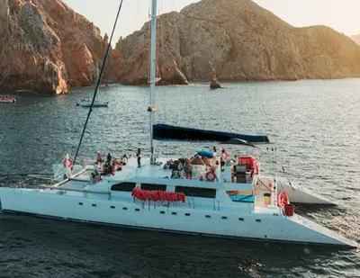 Cabo Whale Watching Tour