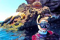 Espiritu Santo Island Snorkeling