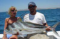 Roosterfish - Cabo San Lucas Fishing