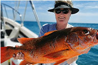 Cabo San Lucas Bottom Fishing Excursion