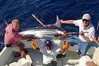 Cabo San Lucas Fishing