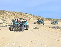 groups; more than 20; atv