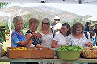Organic Market San Jose del Cabo