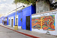 San Jose Del Cabo Art Walk