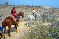 Cabo Horseback Riding Tour