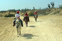 Horseback Riding Cabo