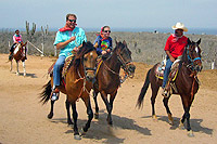 Horseback Riding Cabo