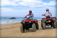 Cabo ATV Tour & Horseback Riding