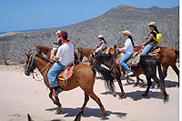 Horseback Riding Cabo