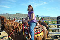 Horseback Riding Cabo