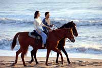 Cabo Horseback Riding Tour