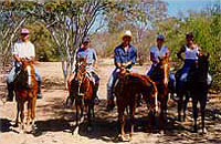 Cabo Horseback Riding Tour