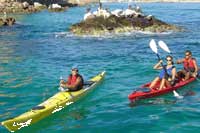 Kayaking Los Cabos
