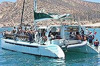 Cabo Catamaran