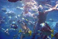 Snorkeling Santa Maria Cove in Cabo San Lucas