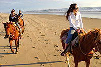 Horseback Riding Cabo