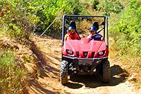 Cabo San Lucas Rhino Excursion