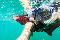 Cabo Snorkeling Trip