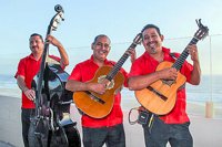 Cabo San Lucas Sunset Live Music