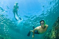 Cabo Snorkeling Catamaran