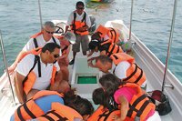 Glass Bottom Boat Cabo