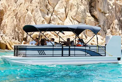 Cabo Whale Watching Excursion
