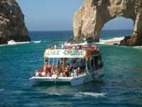 Cabo San Lucas Whale Watching Tour