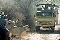 Unimog Safari Cabo