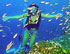 Cabo Pulmo Snorkeling