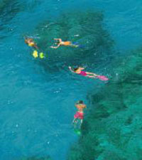 Snorkeling at Chileno Bay