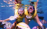 Snorkeling in Cabo San Lucas