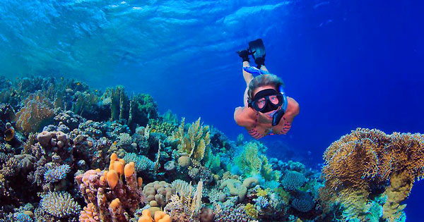 SUP Paddle Boarding Snorkeling Tour Cabo San Lucas