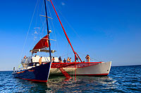 Cabo Snorkeling Trip
