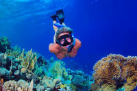 Cabo San Lucas Snorkeling