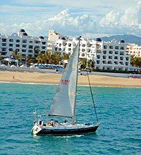 Tai Pan II Sailboat Whale Watching Tour Cabo San Lucas