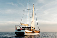 Sunset Cruise in Cabo San Lucas