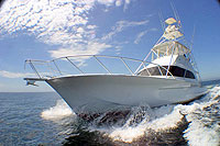 Excellence - Cabo Fishing Charter
