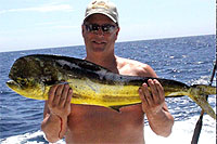 Mahi Mahi in Los Cabos