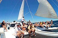 Catamaran Sailing Cabo San Lucas