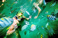 Cabo San Lucas Snorkeling