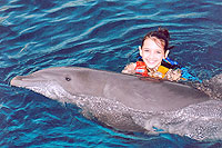 Dolphin Swimming in San Jose del Cabo