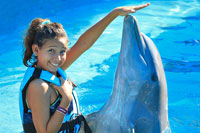 San Jose del Cabo - Dolphin Encounter