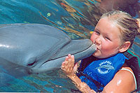 All Inclusive Cabo Dolphin Swim