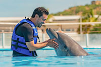Man Touching a Dolphin in Cabo San Lucas