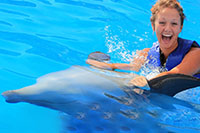 Woman Belly Ride Swim With Dolphin