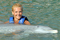 Dolphin Swimming in San Jose del Cabo