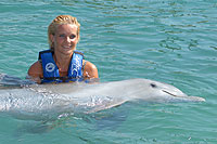 Dolphin Drosal Tow Cabo San Lucas