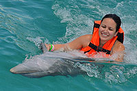 Dolphin Belly Ride Cabo San Lucas