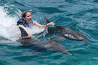 Dorsal Tow - Cabo San Lucas Dolphin Swim