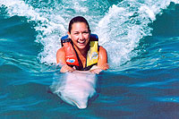 Dolphin Swim Adventure in Cabo